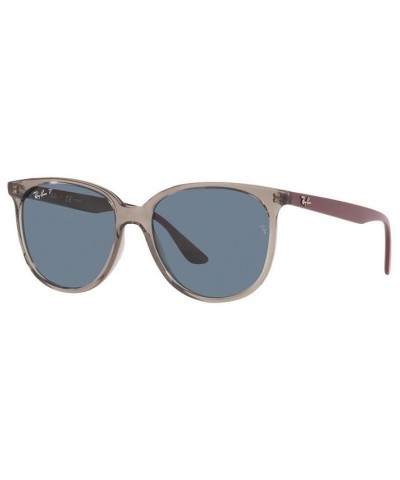 Women's Polarized Sunglasses RB4378 54 Transparent Gray $19.25 Womens