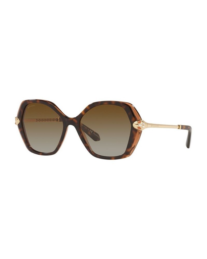 Women's Polarized Sunglasses BV8241KB 55 Havana on Transparent Brown $180.00 Womens